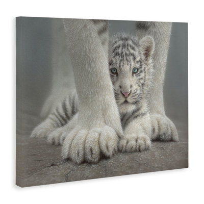 Sheltered White Tiger Cub Canvas, design by Collin Bogle