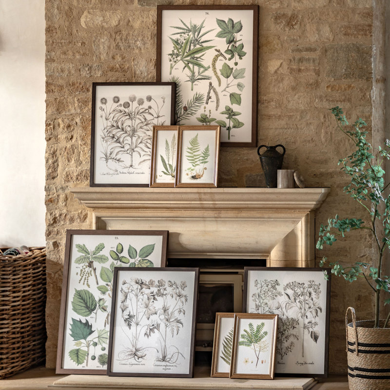 Foliage Study Framed Art