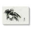 Drunken Angel by Banksy - Wrapped Canvas-55316496