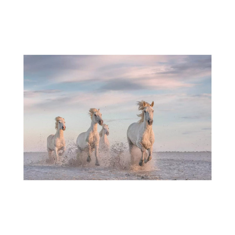 White Angels Of Camargue XXXV by Daniel Kordan - Wrapped Canvas Gallery-Wrapped Canvas Giclée, 20.32 cm H x 30.48 cm W