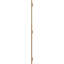 TimberCraft 5 3/8 "planches jointes à panneaux n-batten, cèdre rouge de l'Ouest (par paire)-36421016-36421082