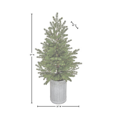 Épinette en pot 57 po Natural Touch