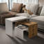 Shalesa Modern Nesting Table-319575778