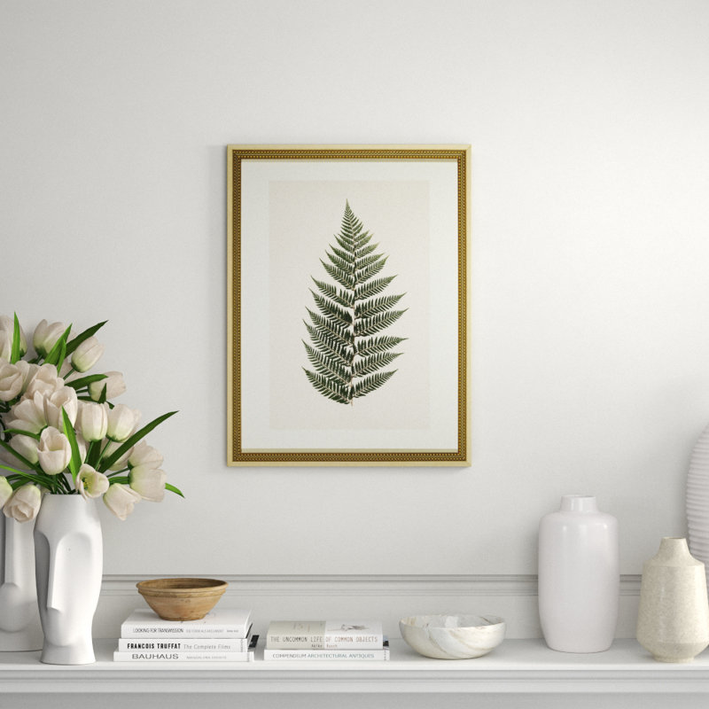 Pressed Fern II Framed Graphic Art