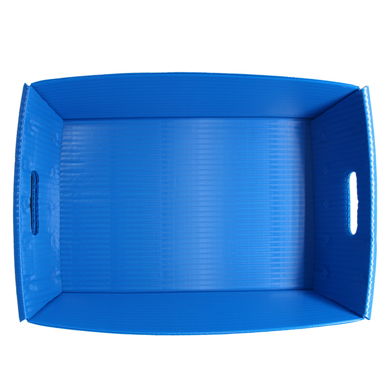 Rebrilliant Plastic Decorative Bin