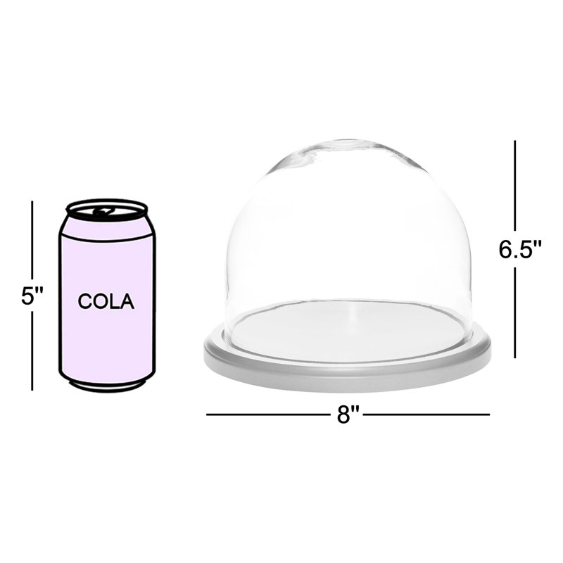 Cloche à dôme en verre 8 "x 6,5" Jenett, Base en placage de chêne