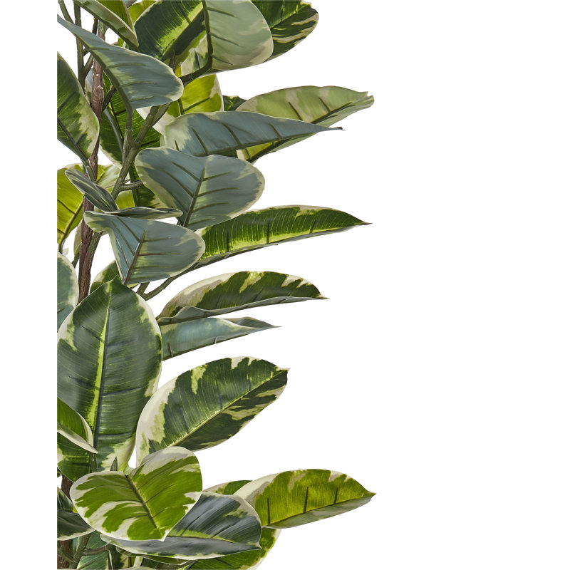 160cm Faux Ficus Plant in Planter