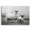 Art mural en verre épique «Islay Sheep 1» par Laura Marshall-1394920054