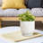 8 Inch Venice Planter