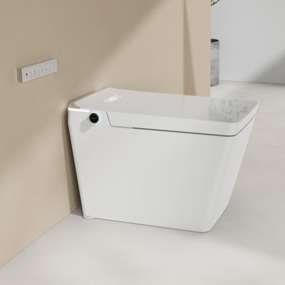 Toilette à bidet allongée 1,6 gallons GPF Rainlex (siège inclus)