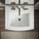 Archer® Vitreous China Rectangular Pedestal Bathroom Sink with Overflow