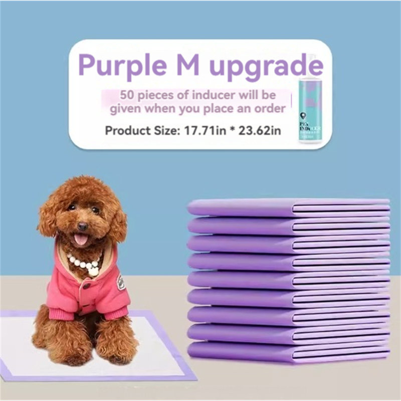 Tapis pour chien (ensemble de 50)