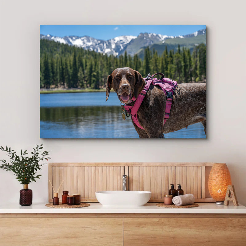 Portrait of a Brown Dog Wearing a Harness Standing on a Lakeshore, 16" H x 24" W