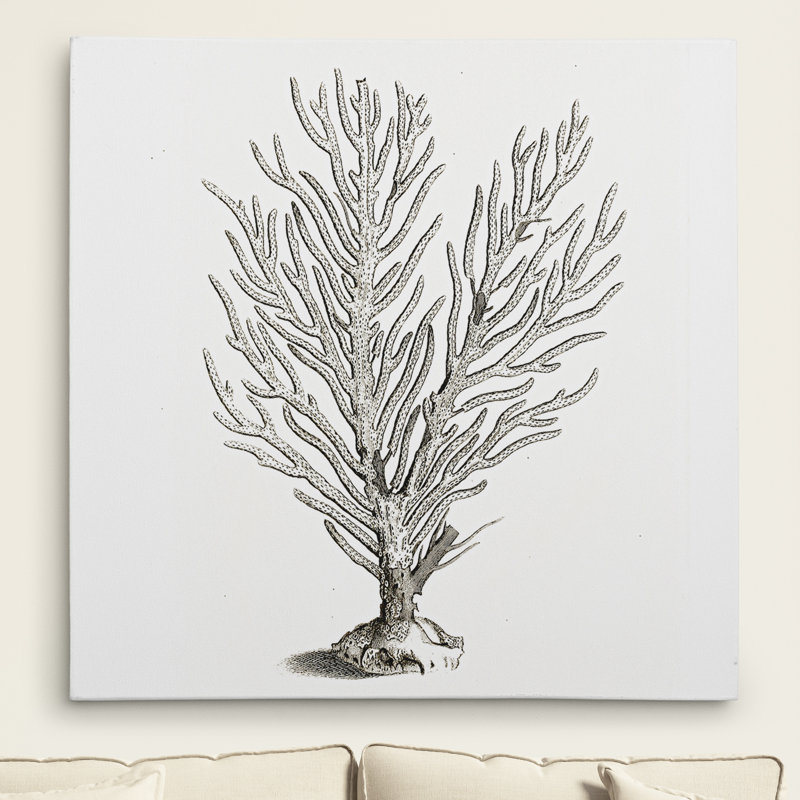 « corail sketch gris ii », reproduction d’impression sur toile tendue, H 16 po x l 16 po x P 1,5 po