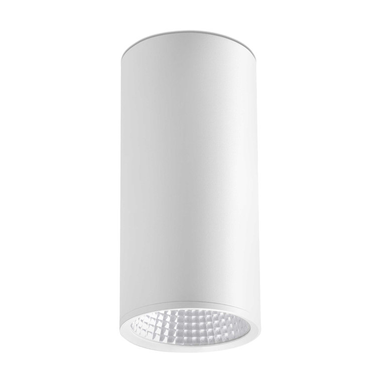 1 Light Ceiling Spotlight