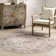 Davi Faded Traditional Spill Proof Machine Washable Area Rug