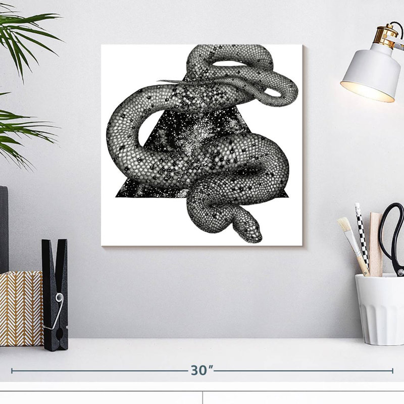 Crowle Cosmic Snake, 16" H x 16" W