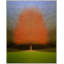 Persistence by Laura Zimmerman - Framed Wall Art-1529026729-1529026742