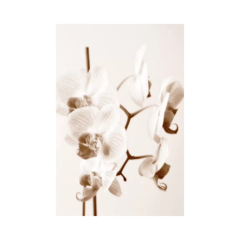 No Boundaries I by Ily Szilagyi - Wrapped Canvas Print, 20.32 cm H x 30.48 cm W