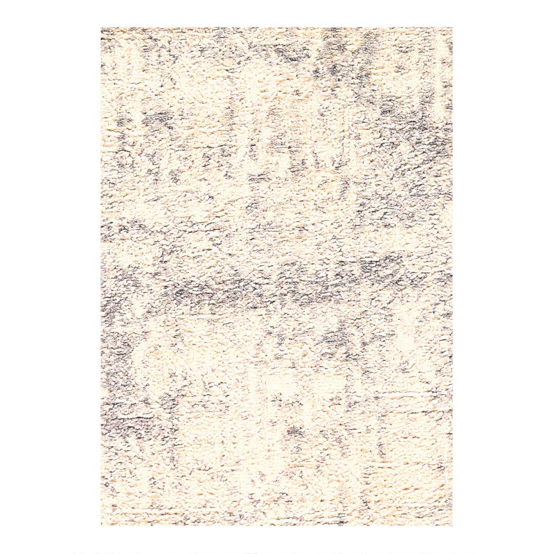 Tapis moderne à tissage large 2 pi x 3 pi