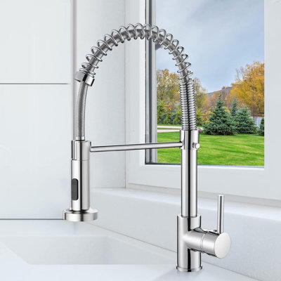 Rebrilliant Pull Out Kitchen Faucet