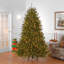 The Holiday Aisle® 9ft. Dunhill Fir Tree with Clear Lights-880716069-880716077
