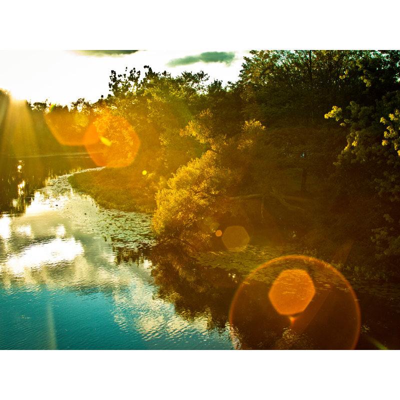 Sun Flare Print by Alan Scherer, Black Framed Paper, 25.25" H x 31.25" W