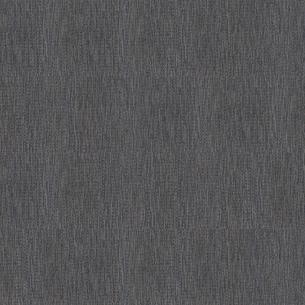 Explorer 24-in x 24-in Multi-Level Loop Adhesive Carpet Tile (79.99-sq ft) Shaw 