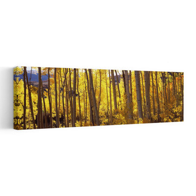 Aspen Trees In Autumn, Colorado, Usa Abstract Contemporary Forest Landscape Wall Art