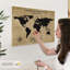 My World I Push Pin World Milstead-106321708