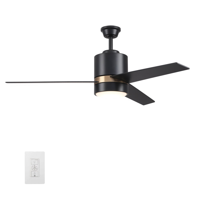 Ventilateur de plafond d'intérieur intelligent Raiden, Noir, 173 tr / min, Noir