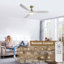 Ventilateur de plafond standard à DEL à 3 pales de 60 po avec télécommande et ensemble d'éclairage pour salon-130985946-130985950