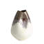 Portuguese Jar-780750868
