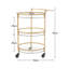 Akylbek Metal Bar Cart