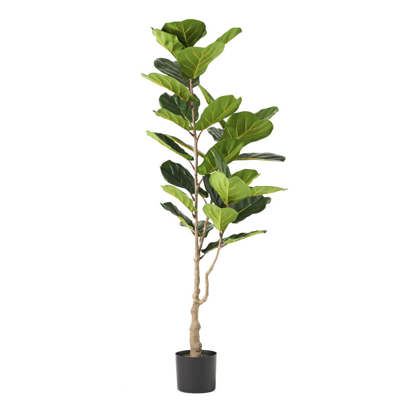 Feuille de violon artificielle 150 cm - pour une belle décoration, peu d'entretien, l 24 po x P 59 po, intérieur élégant en fer et en plastique, largeur, profondeur, hauteur, et