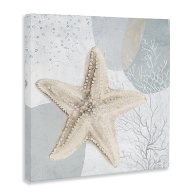 Starfish over Circle Pattern Canvas Wall Art by Patricia Pinto