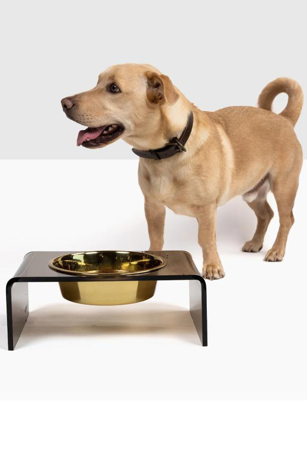 Elevated Dog Bowls-2*48 Oz Wall Mounted Dog Bowls-Raised Dog Bowls Stand -Adjusable