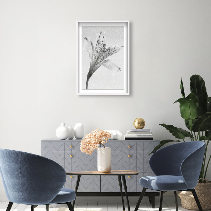 Delicate Spots Framed Graphic Art, 31.5" H x 21.5" W, White Shadowbox