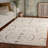 Elwin Shag Performance Damask Rug-1702721859