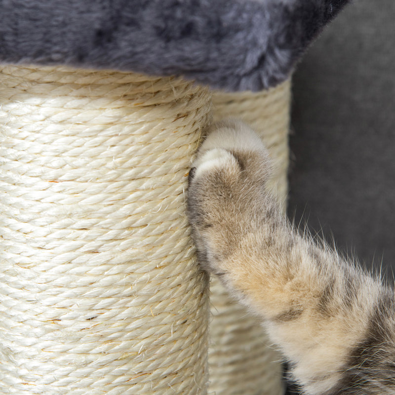 Arbre de formation Grey Cat