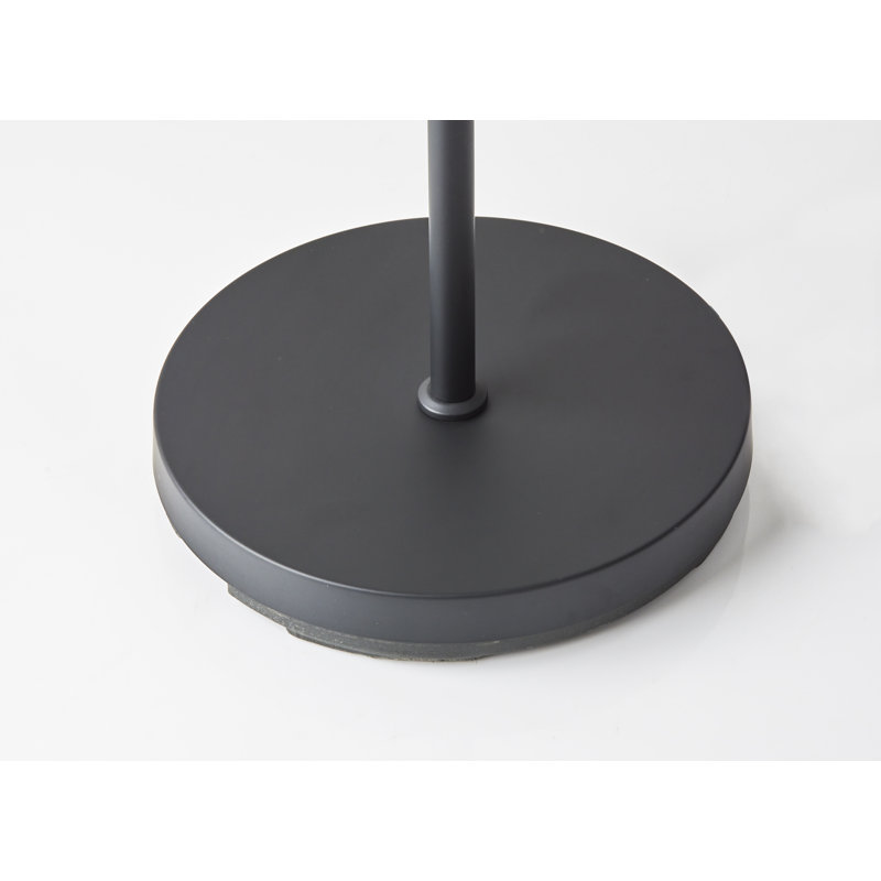 Raine 68.25'' Black Novelty Floor Lamp