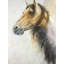 Wild Horse - Western