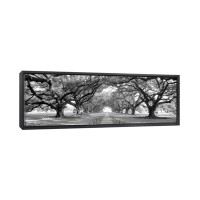 Chemin de brique à travers l'allée de chênes, Louisiane, Nouvelle-Orléans, États-Unis (noir et blanc) II par Panoramic Images - Reproduction panoramique sur toile à cadre flottant