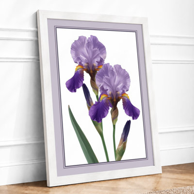 Twin Irises Botanical - Print