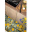 Boboli Area Rug-86170605