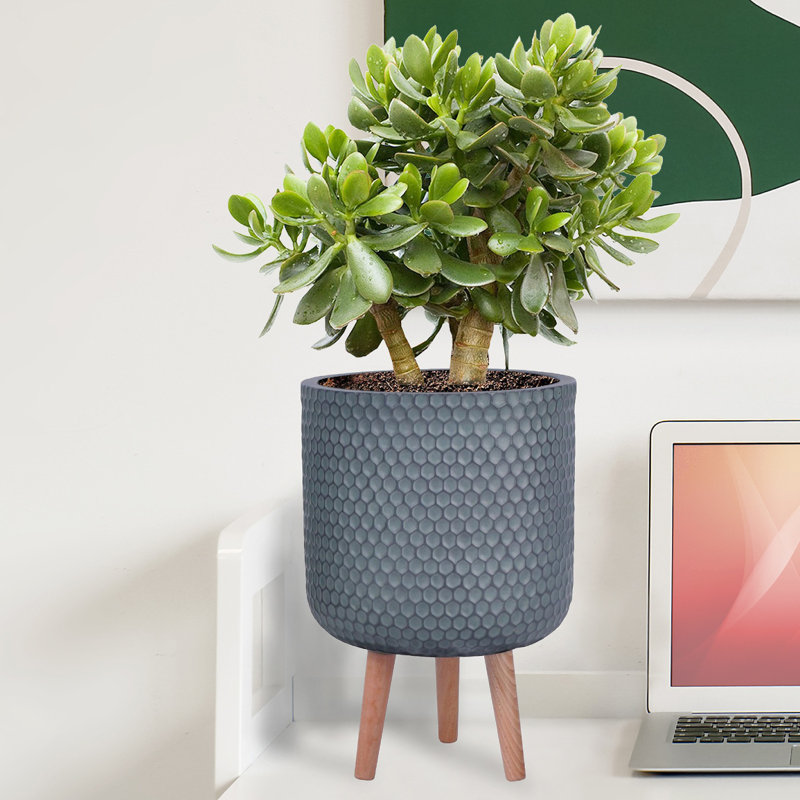 Honeycomb Style Cylinder Round Planter with Feet, 34cm H x 25cm W x 25cm D