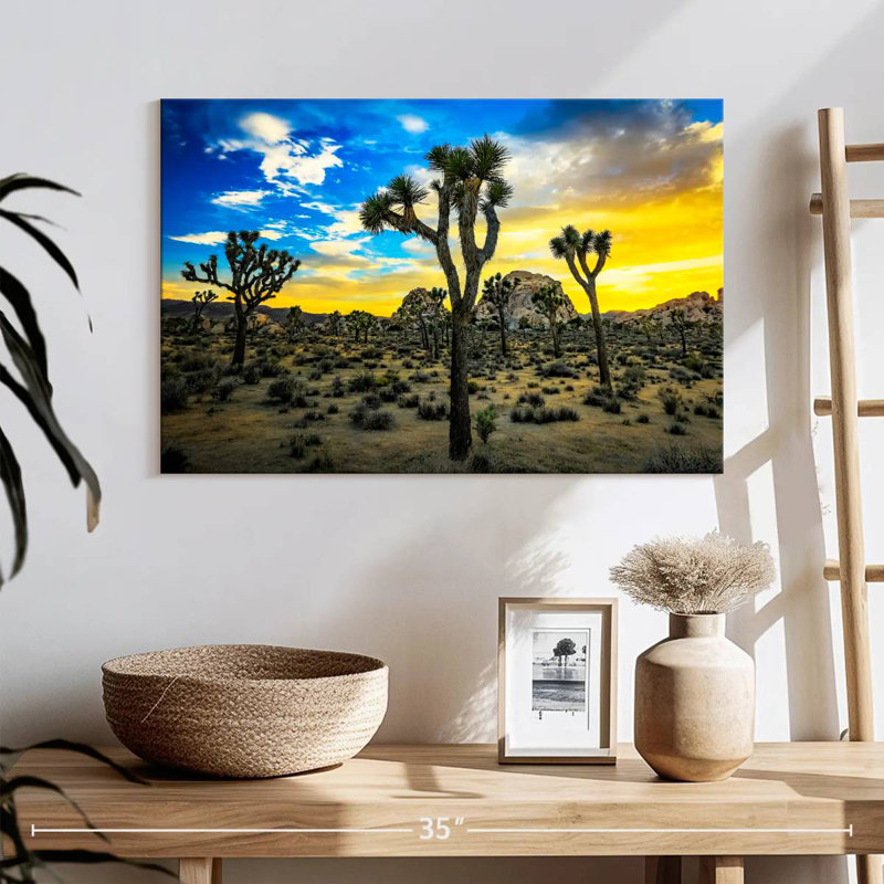 Nicci Joshua Tree Park, H 16 po x l 24 po