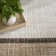 Leuchte Ivory Brown Modern Indoor Rug
