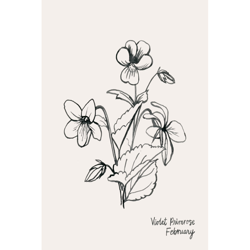 Annual Flowers II by Grace Popp - Drawing, Black Floater Framed, 76cm H x 51cm W