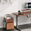 43.5cm Wide 2 -Drawer Mobile File Cabinet-75120015